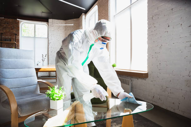 Why You Should Choose Our Mold Remediation Services in Santee, CA