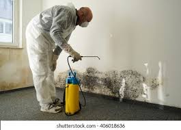 Mold Remediation for Vacation Homes in Santee, CA